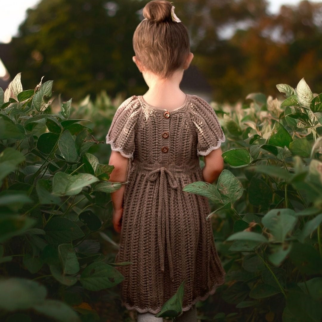 Rainbow-Dress-Brown